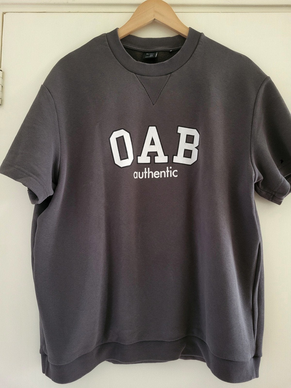 T-shirt van Bershka, Kleding | Heren, T-shirts, Overige kleuren, Bershka, Gedragen, Verzenden