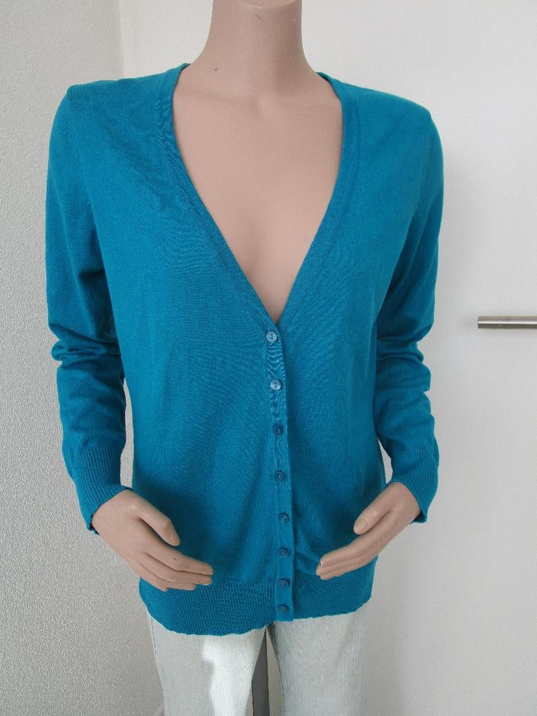 Vest maat L, Verzenden, Zo goed als nieuw, Maat 38/40 (M), Blauw