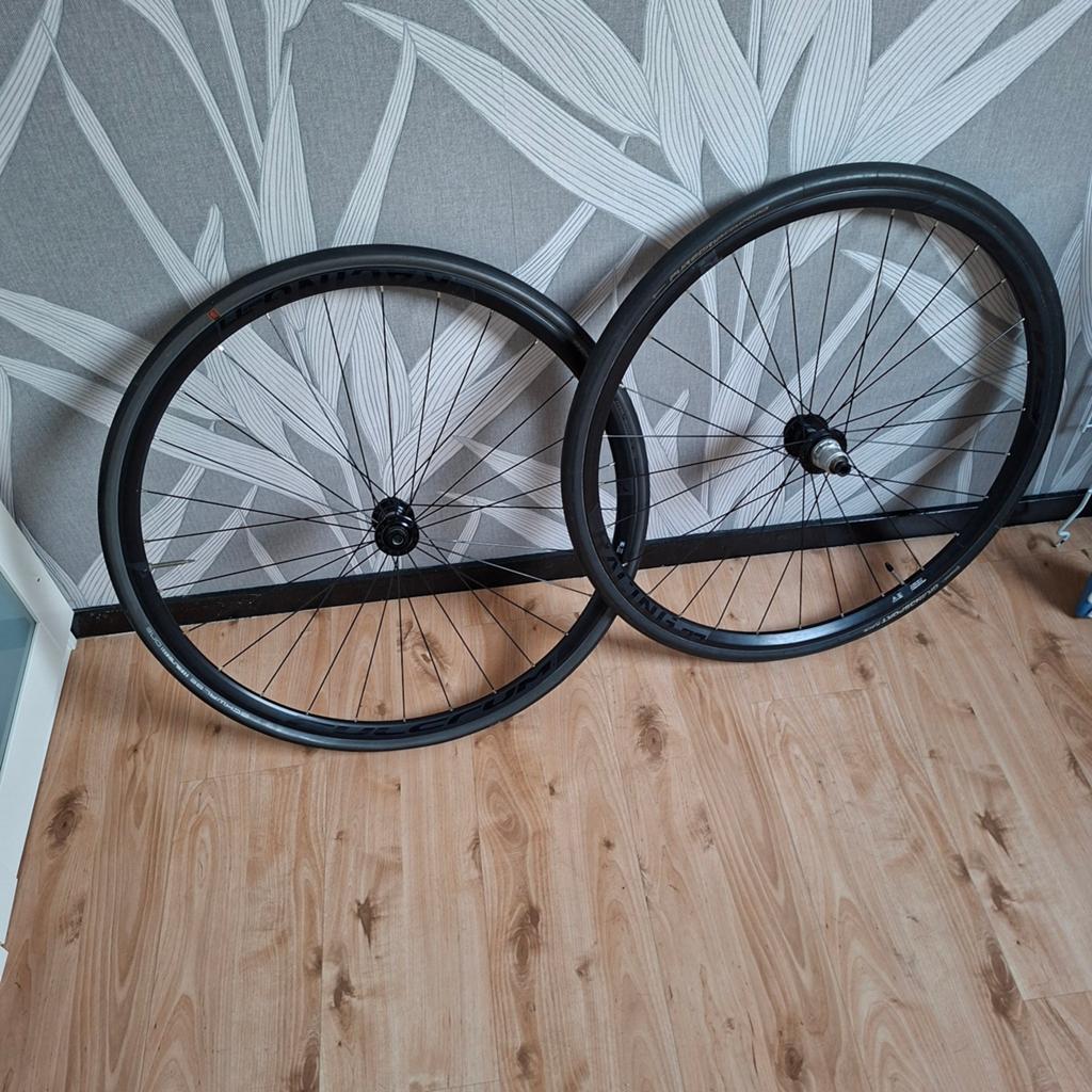 Racewielen, Overige merken, Heren, Aluminium, Ophalen of Verzenden