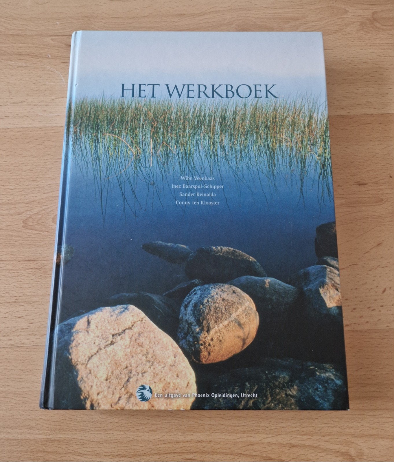 boek het werkboek wibe veenbaas phoenix opleiding, Boeken, Ophalen of Verzenden, Beta, Zo goed als nieuw, HBO
