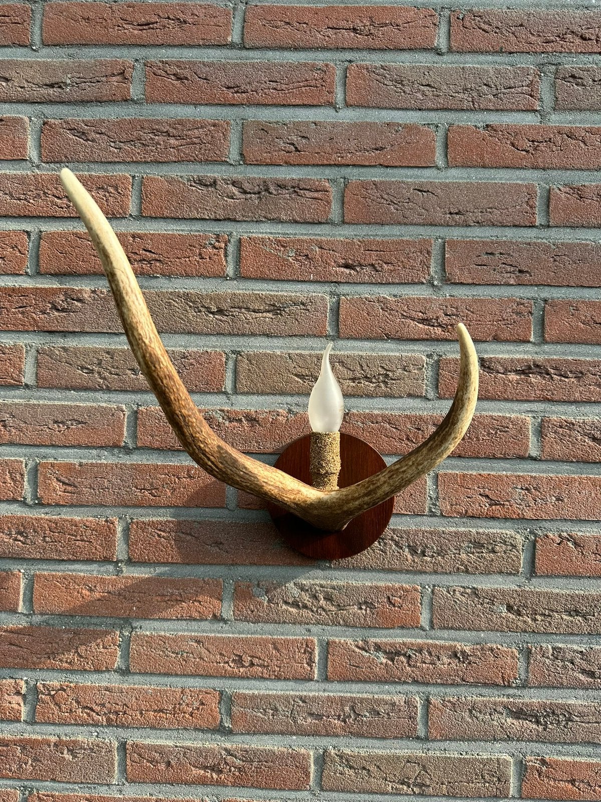 Geweien geweienlamp jacht Veluwe geweien edelhert wandlamp., Ophalen of Verzenden, Nieuw