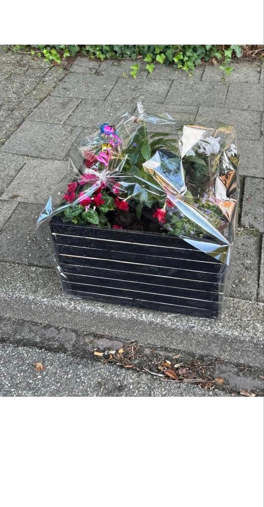 Houten bloembak, Tuin en Terras, Bloembakken en Plantenbakken, Ophalen, Gebruikt, Vierkant, 60 tot 100 cm
