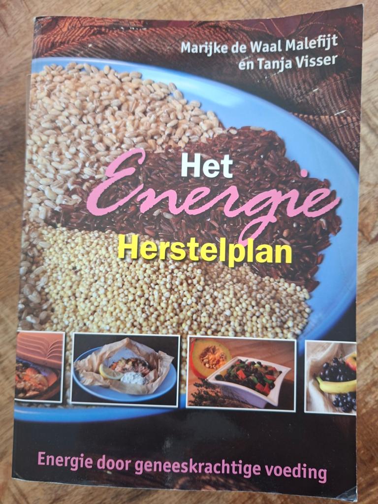 Het Energie Herstelplan: Geneeskrachtige Voeding, Ophalen of Verzenden, Gelezen, Dieet en Voeding, Marijke de Waal Malefijt en Tanja Visser