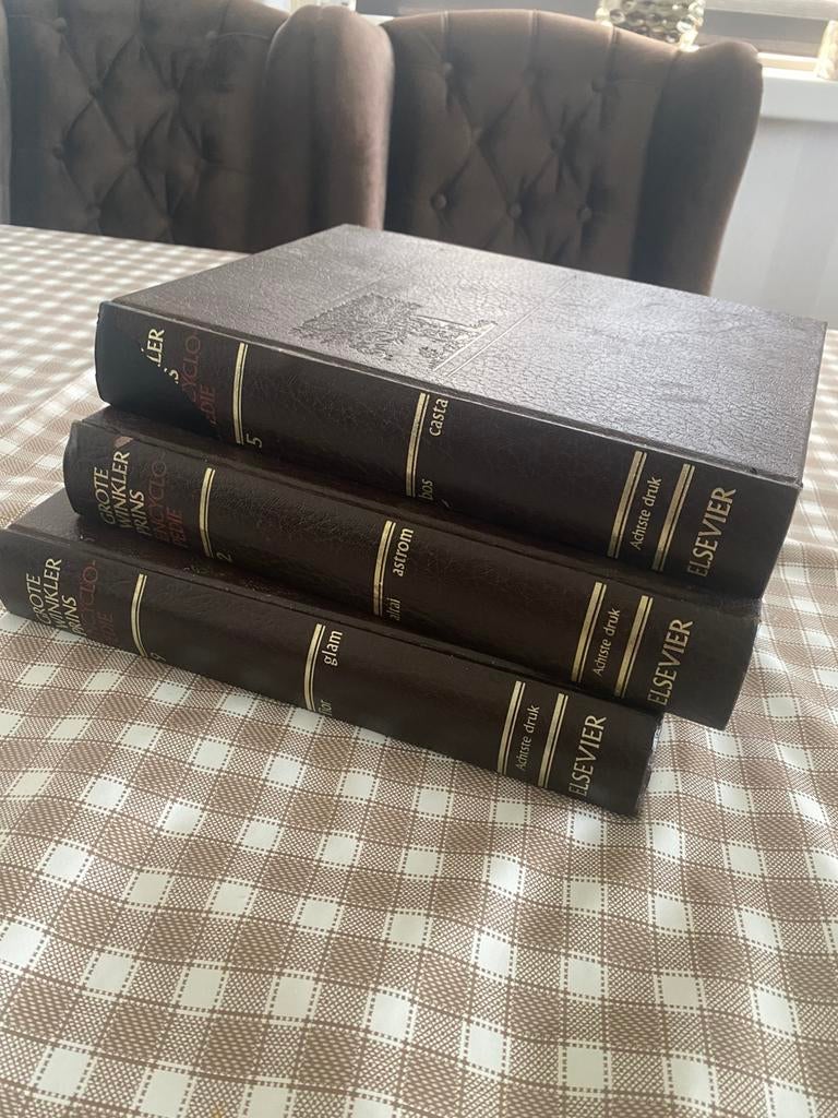 Grote winkler prins encyclopedie, Antiek en Kunst, Antiek | Boeken en Bijbels, Ophalen of Verzenden