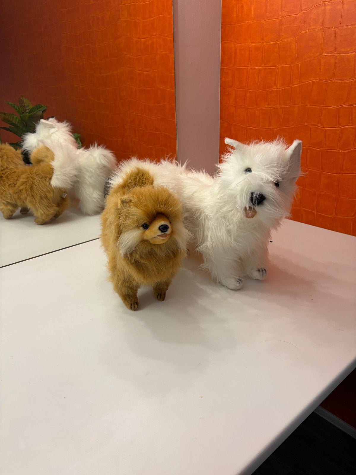 Nieuw! Hansa Creations hondjes (Pomeranian & Westie), Ophalen of Verzenden, Zo goed als nieuw, Jongen of Meisje