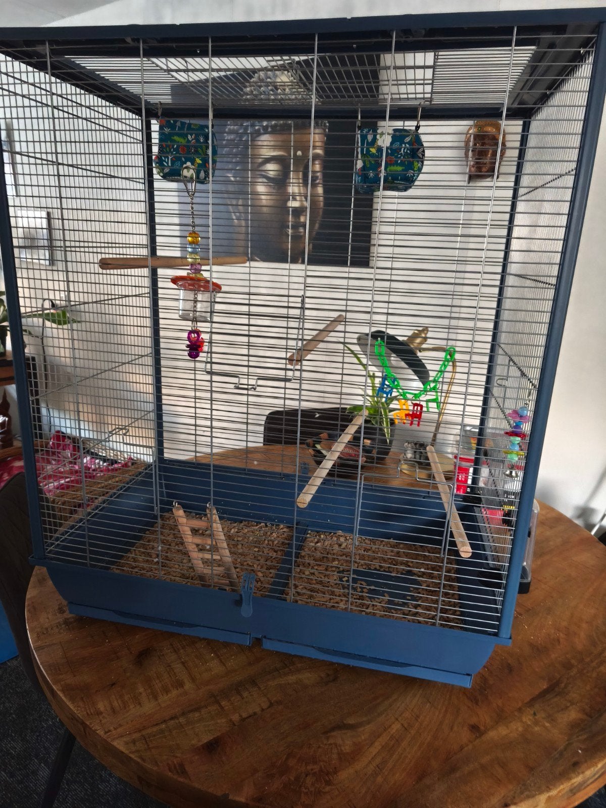 Te koop mooie vogelkooi., Ophalen, Zo goed als nieuw, Metaal, Vogelkooi