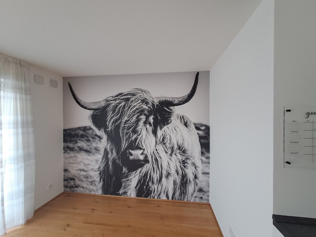 Fotobehang van een zwart wit schotse hooglander, Huis en Inrichting, Stoffering | Behang, Ophalen, Minder dan 10 m², Zwart