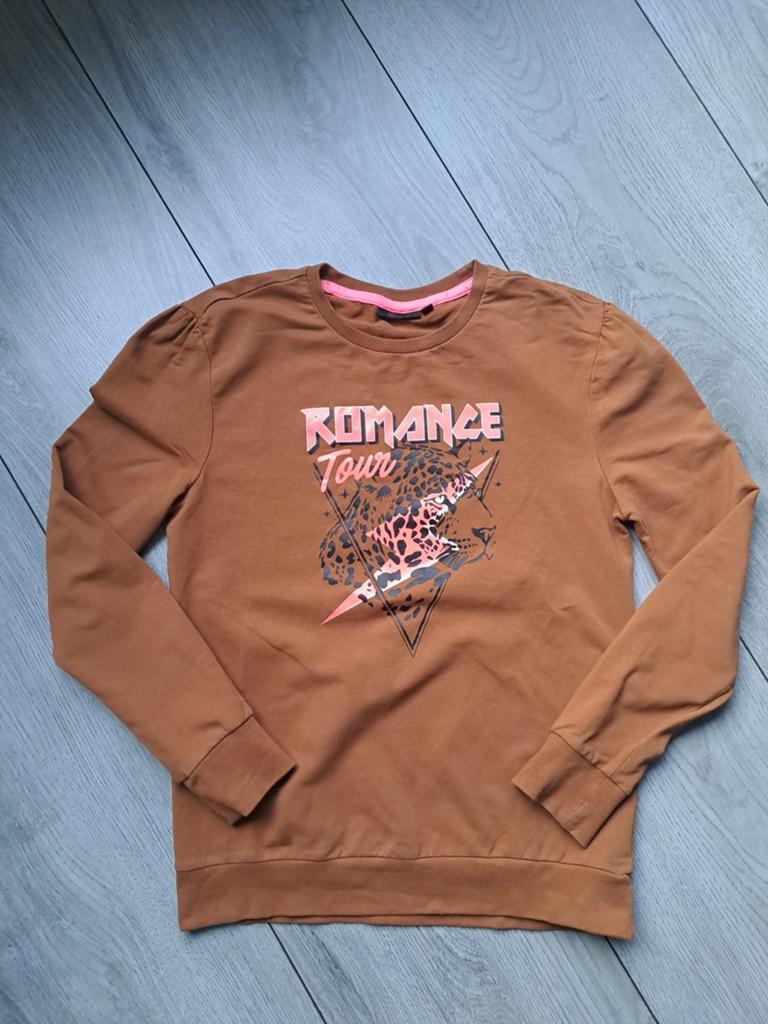 D-zine longsleeve/ dunne trui maat 164-170, Kinderen en Baby's, Kinderkleding | Maat 164, Meisje, D-Zine, Trui of Vest, Ophalen of Verzenden