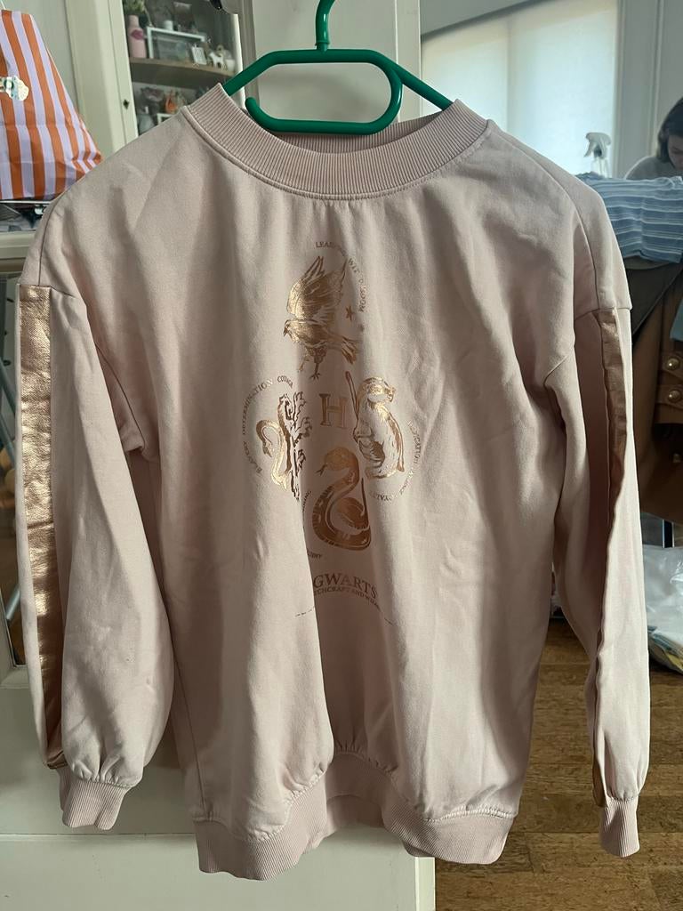 Harry Potter Hogwarts sweater roze met goud, maat S, Kleding | Dames, Ophalen of Verzenden, Zo goed als nieuw, Maat 36 (S), Roze
