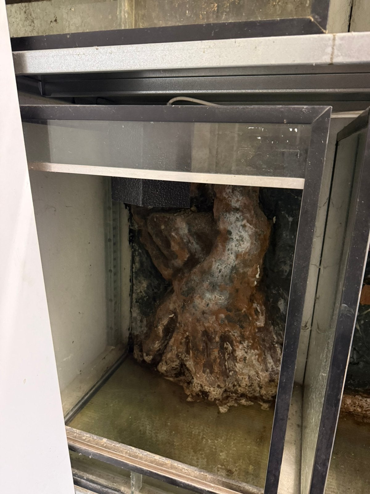 Terrarium 50x50x70, Dieren en Toebehoren, Ophalen, Gebruikt, Terrarium of Paludarium