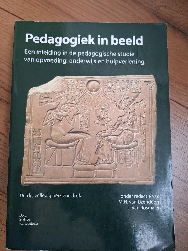 Studieboek pedagogiek in beeld, Boeken, Gelezen, M.H. van Ijzeldoorn, Beta, HBO