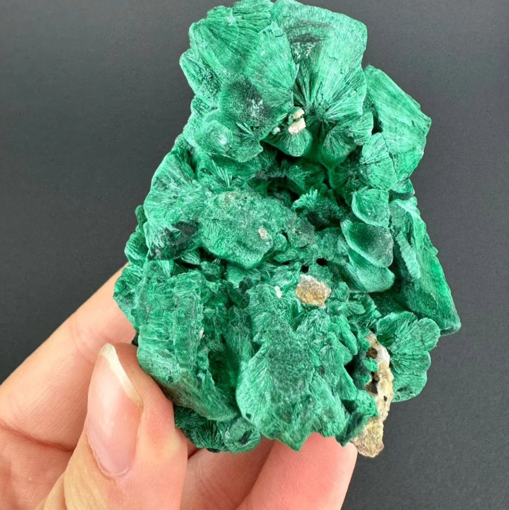 Malachiet (Fluweel) uit Congo, Ophalen of Verzenden, Mineraal
