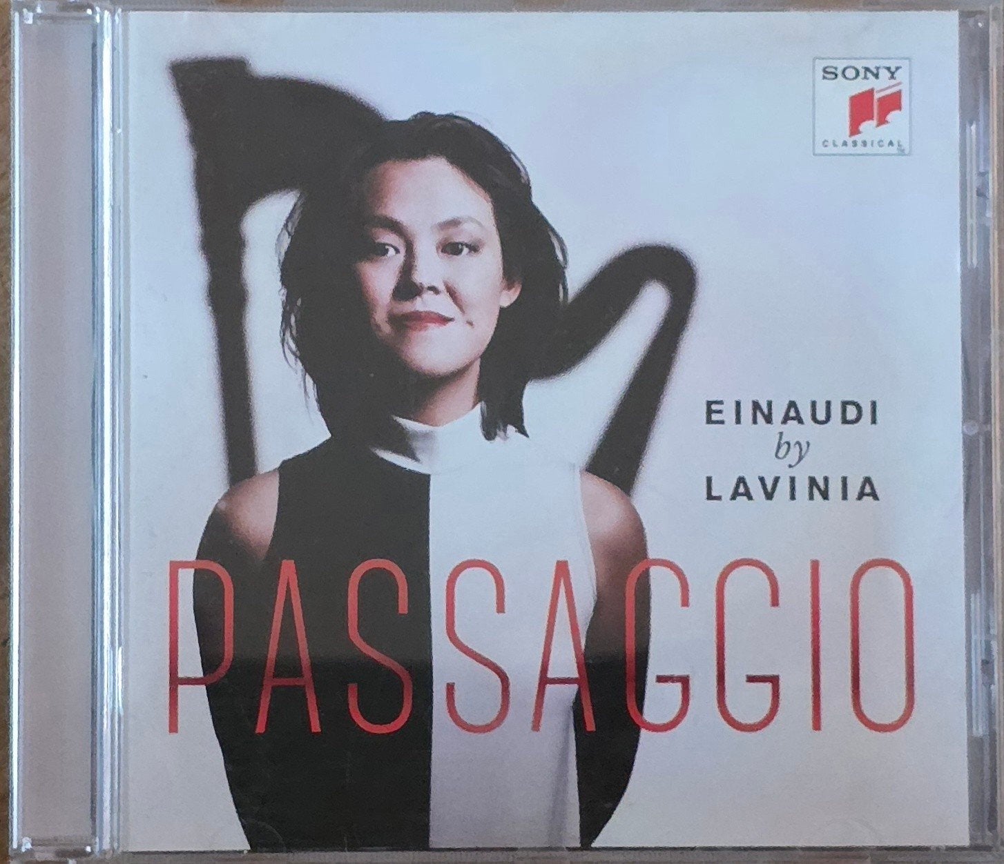 Ludovico Einaudi - Passaggio by Lavinia Meijer (CD), Overige componisten, Modernisme tot heden, Ophalen of Verzenden, Zo goed als nieuw