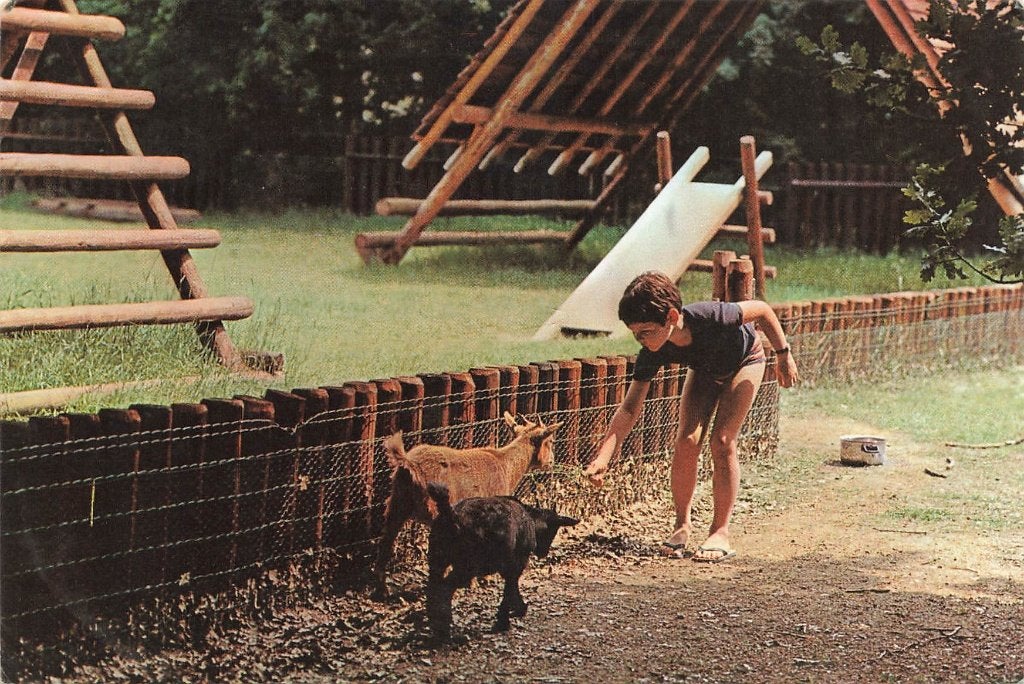 Sporthuis Centrum Bungalowpark Het Meerdal, America, Ophalen of Verzenden, 1980 tot heden, Gelopen, Limburg