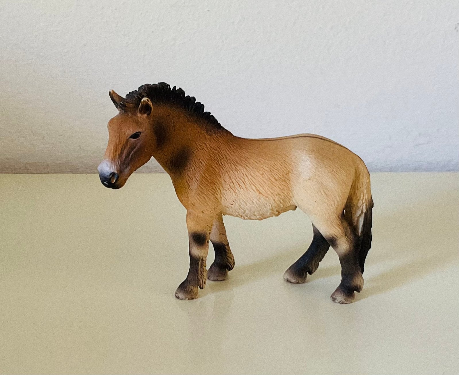 Schleich przewalsky pony 13620, Verzenden, Zo goed als nieuw, Paard, Beeldje of Figuurtje