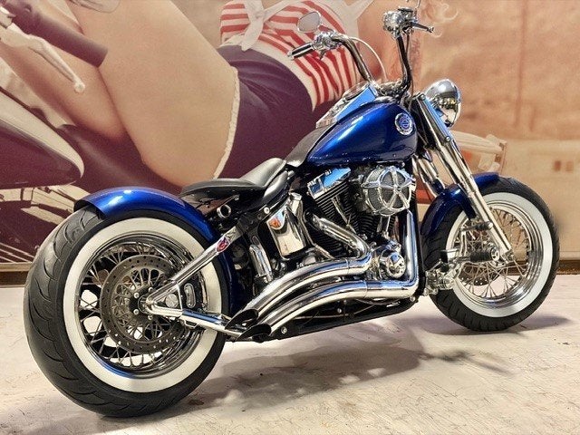 Harley-Davidson FLSTF SOFTAIL BOBBER SPECIAL (bj 2000), Motoren, Dopplerlaan 26
9207 HC  Drachten, NL, H-D Benelux B.V., Bedrijf