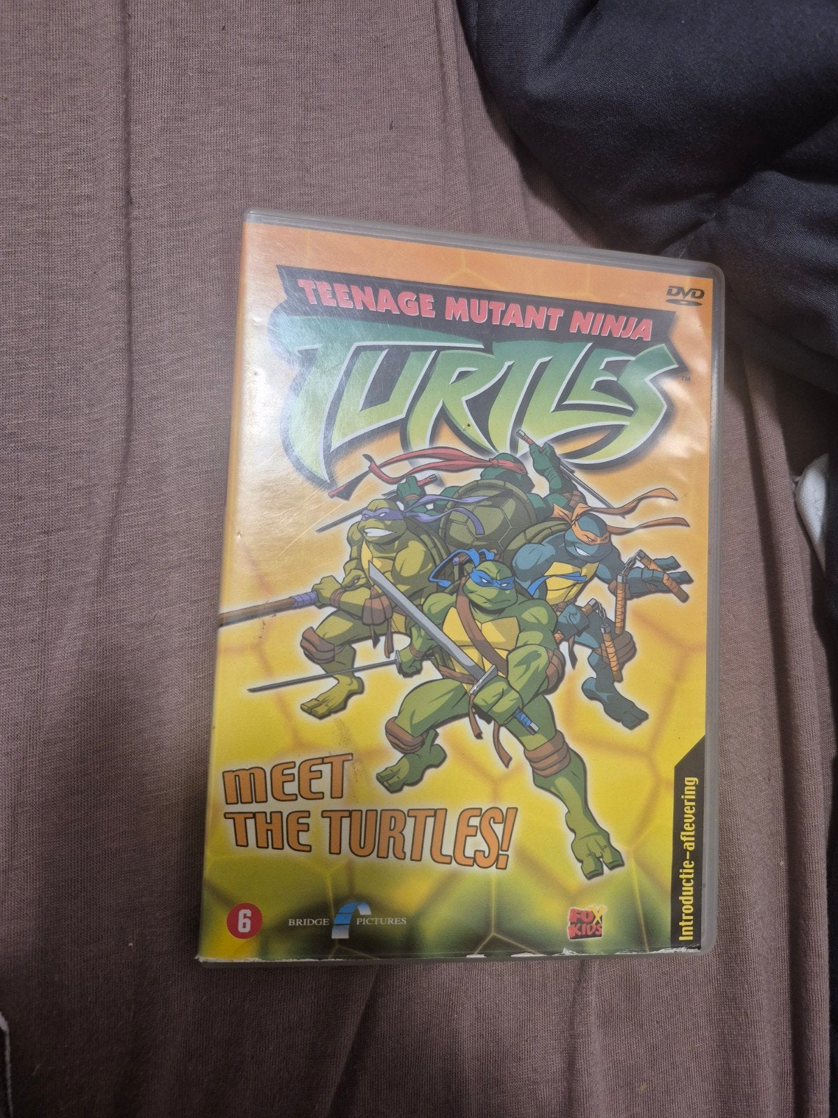 Teenage Mutant Ninja Turtles: Meet the Turtles! DVD, Gebruikt, Animatie, Alle leeftijden, Amerikaans