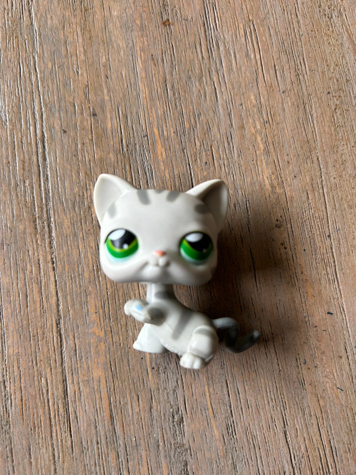 Gray striped shorthair cat, Ophalen of Verzenden, Gebruikt