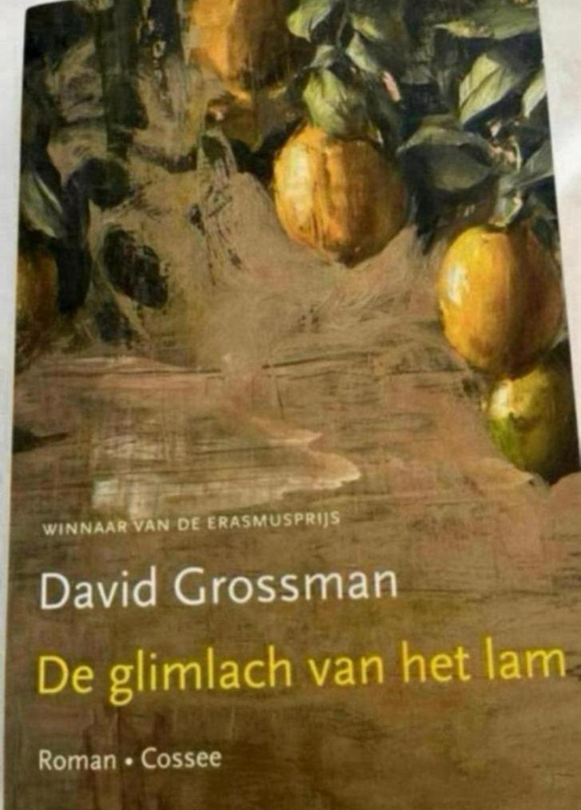 De glimlach van het lam - David Grossman (Roman), Boeken, Ophalen of Verzenden, Zo goed als nieuw