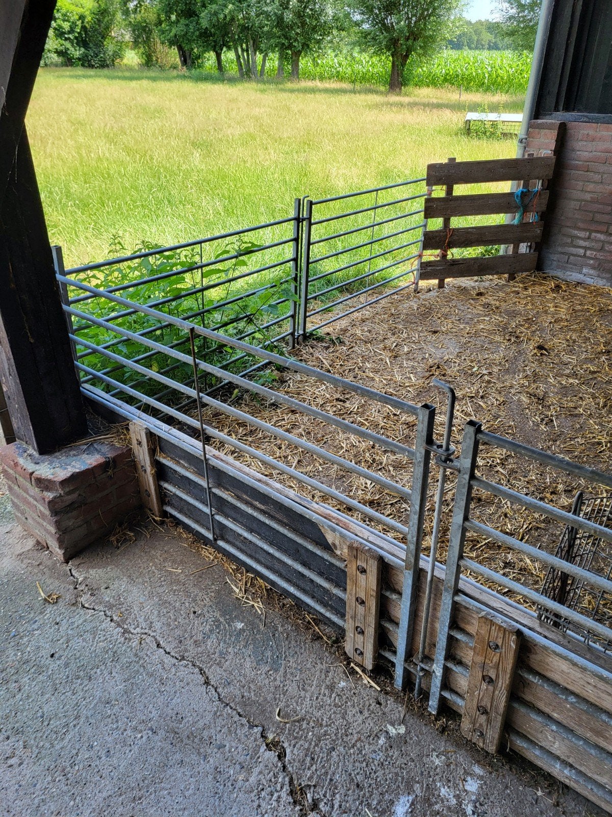 Schapenhekken, Tuin en Terras, Tuinhekken en Hekwerk, Ophalen
