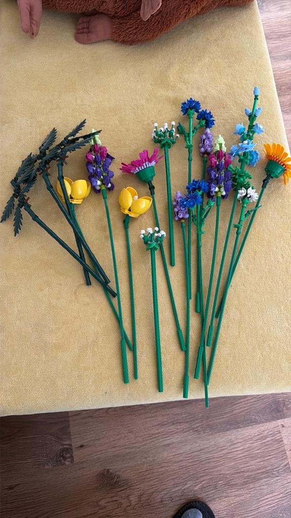 LEGO 10313 boeket met wilde bloemen, Lego, Ophalen of Verzenden, Zo goed als nieuw, Icons