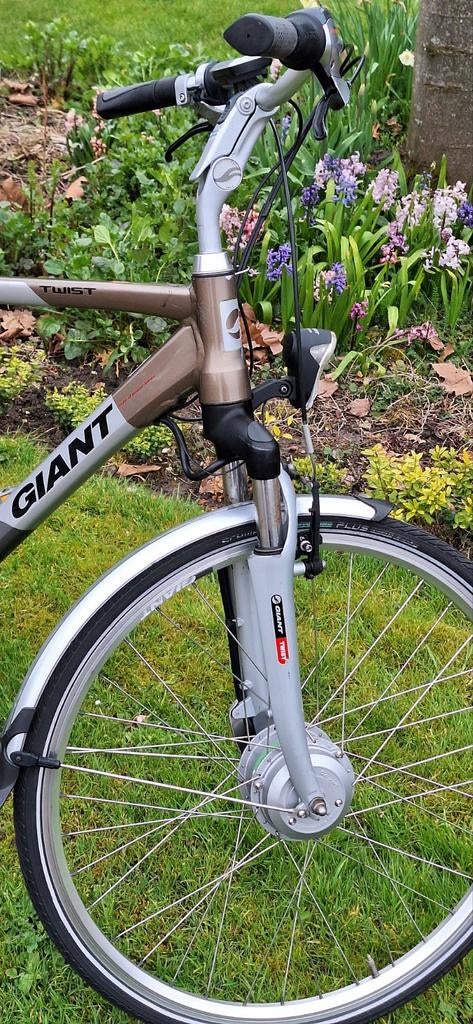 Giant Twist Go Double LC E-bike - Champagne/Zilver (L/56cm), Fietsen en Brommers, Elektrische fietsen, 55 tot 59 cm, Ophalen, Gebruikt