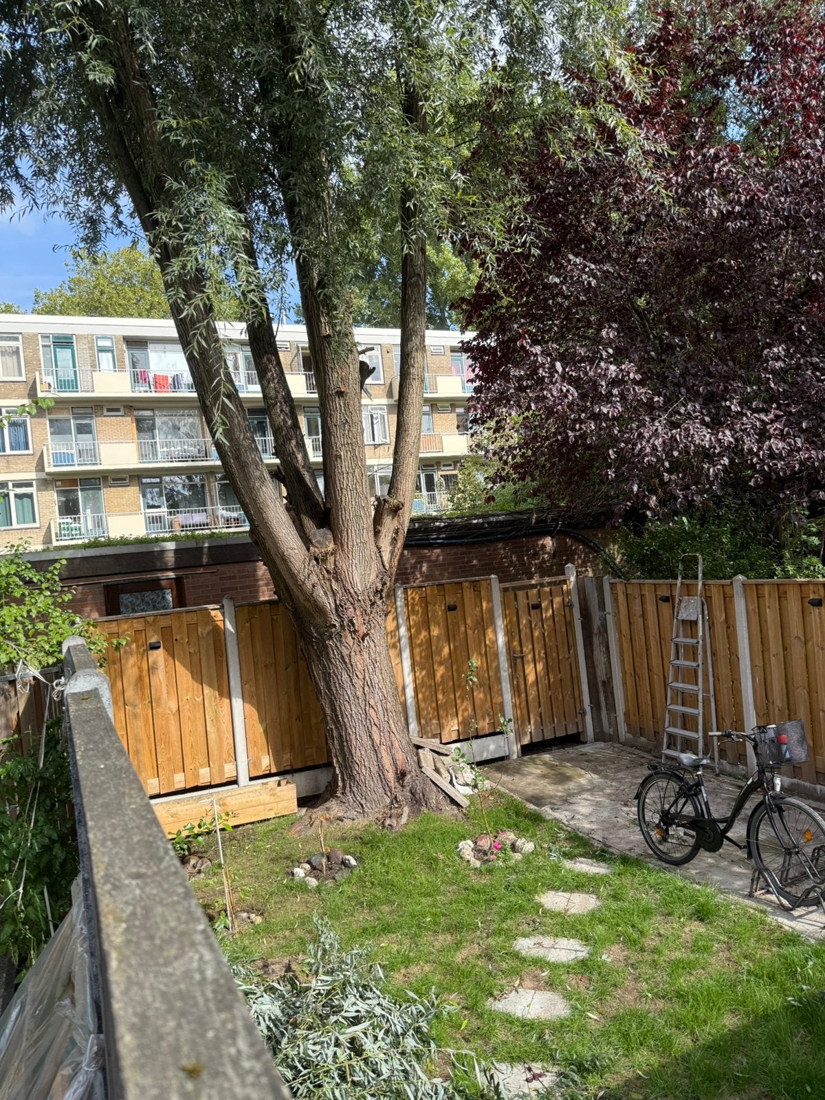 Wilg boom Gratis, Minder dan 3 m³, Ophalen of Verzenden