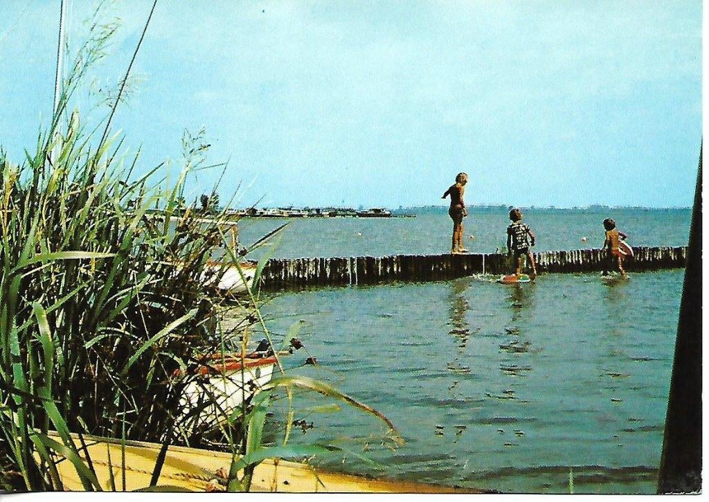Suameer- -Recr.centrum Bergumer Meer., Verzamelen, Verzenden, 1980 tot heden, Gelopen, Friesland