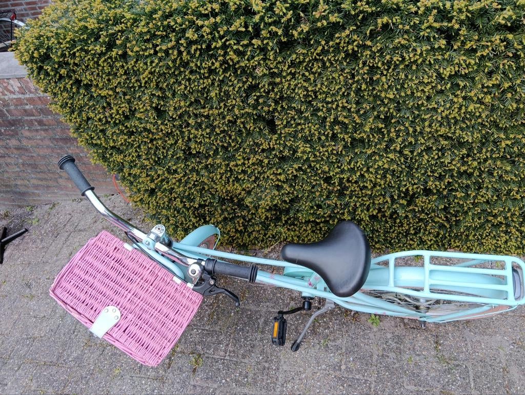 Super Super Lola 20 inch meisjesfiets met spaakverlichting, Ophalen, Gebruikt, 20 inch of meer, Super Super Lola