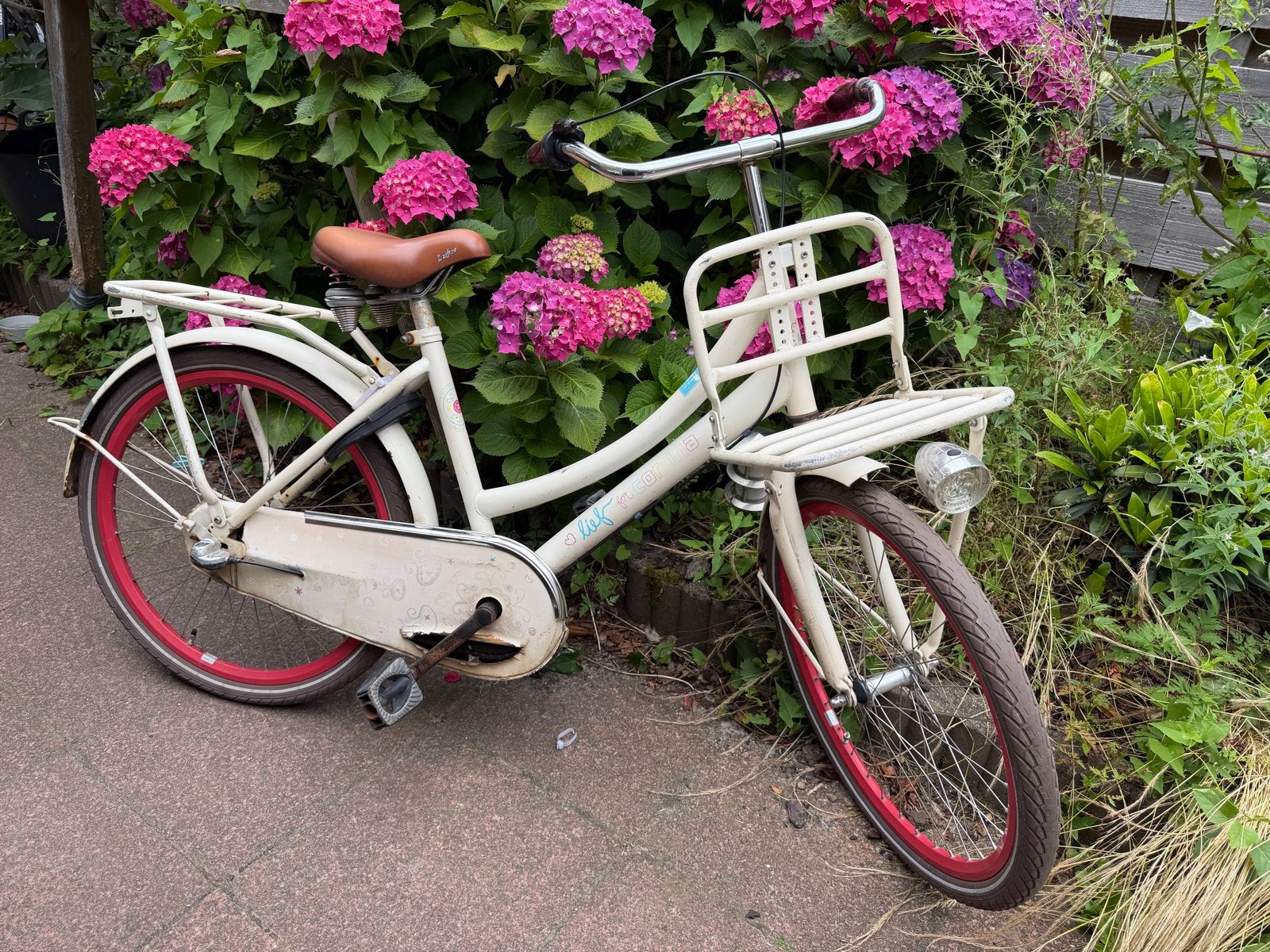 Gebruikte 24” cortina Lief! transportfiets met voordrager, Terugtraprem, Gebruikt, Versnellingen, Minder dan 47 cm