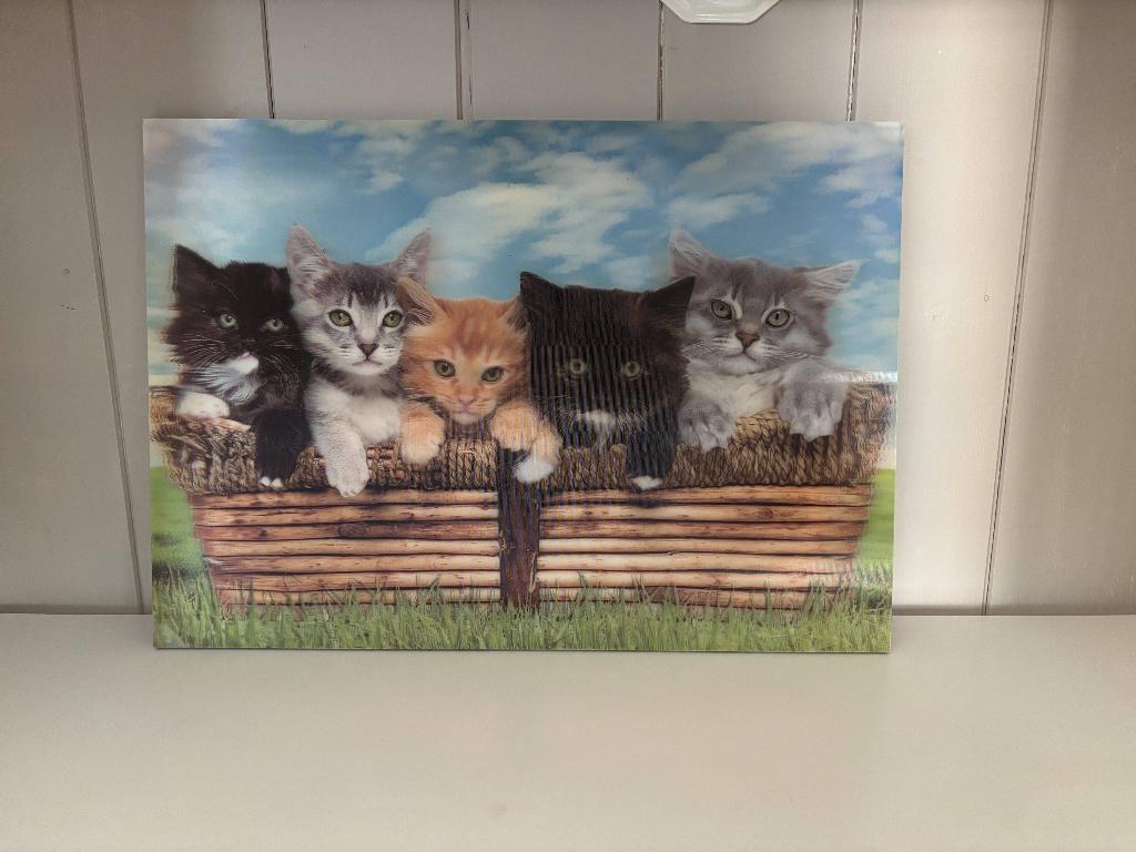 Katten hologram, Ophalen of Verzenden
