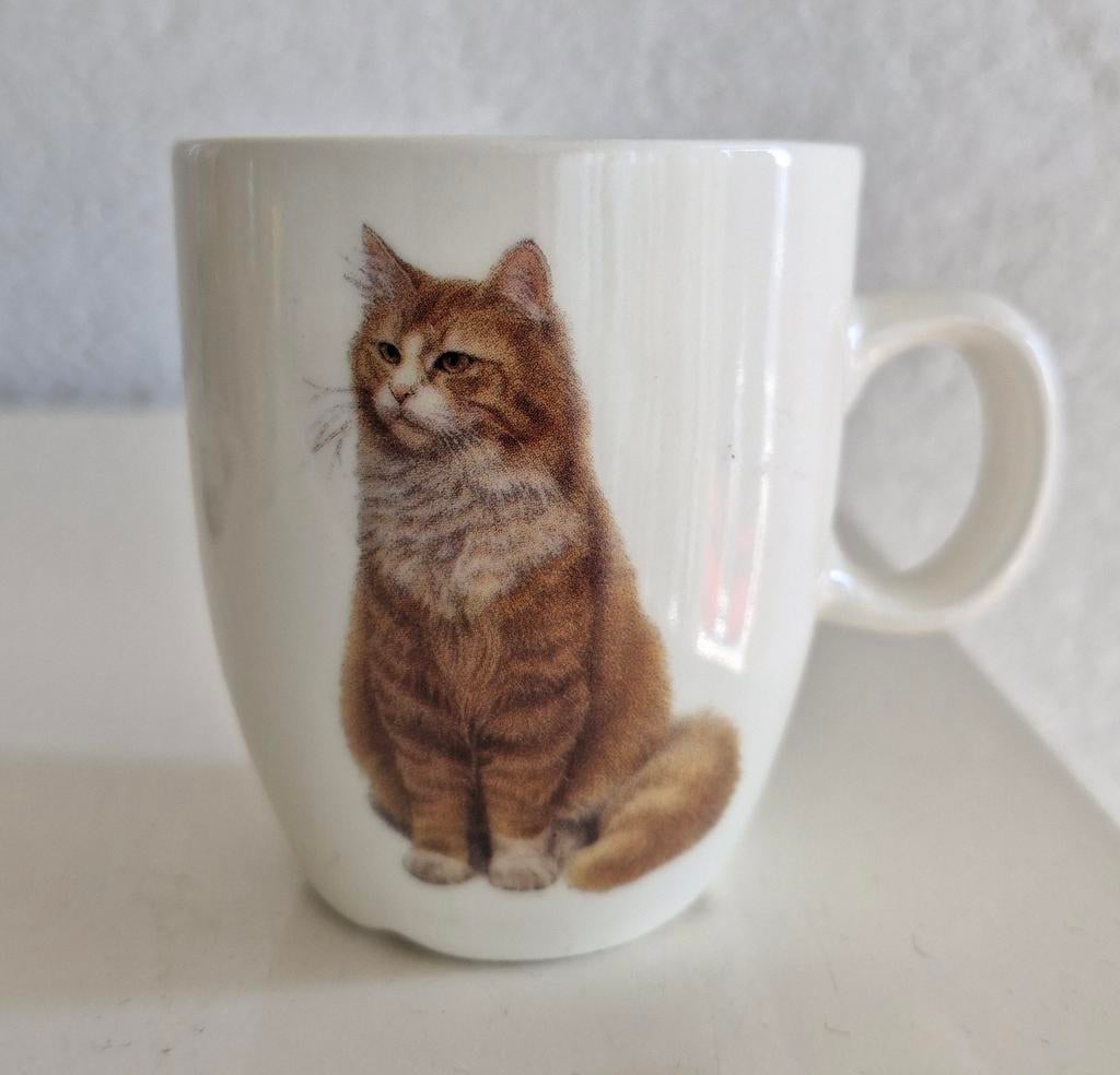 Senseokopje Franciens Katten, Dieren en Toebehoren, Katten-accessoires, Ophalen of Verzenden