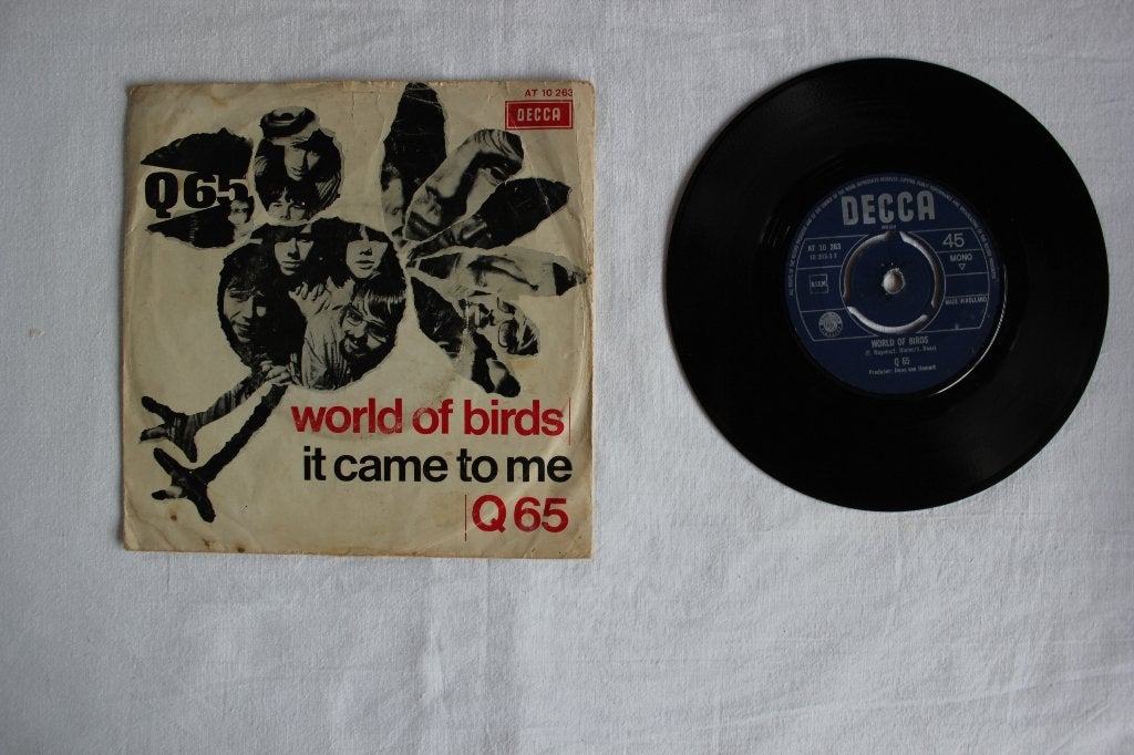 q65  -  worlds of birds, Cd's en Dvd's, Vinyl Singles, Ophalen of Verzenden, Gebruikt, Rock en Metal