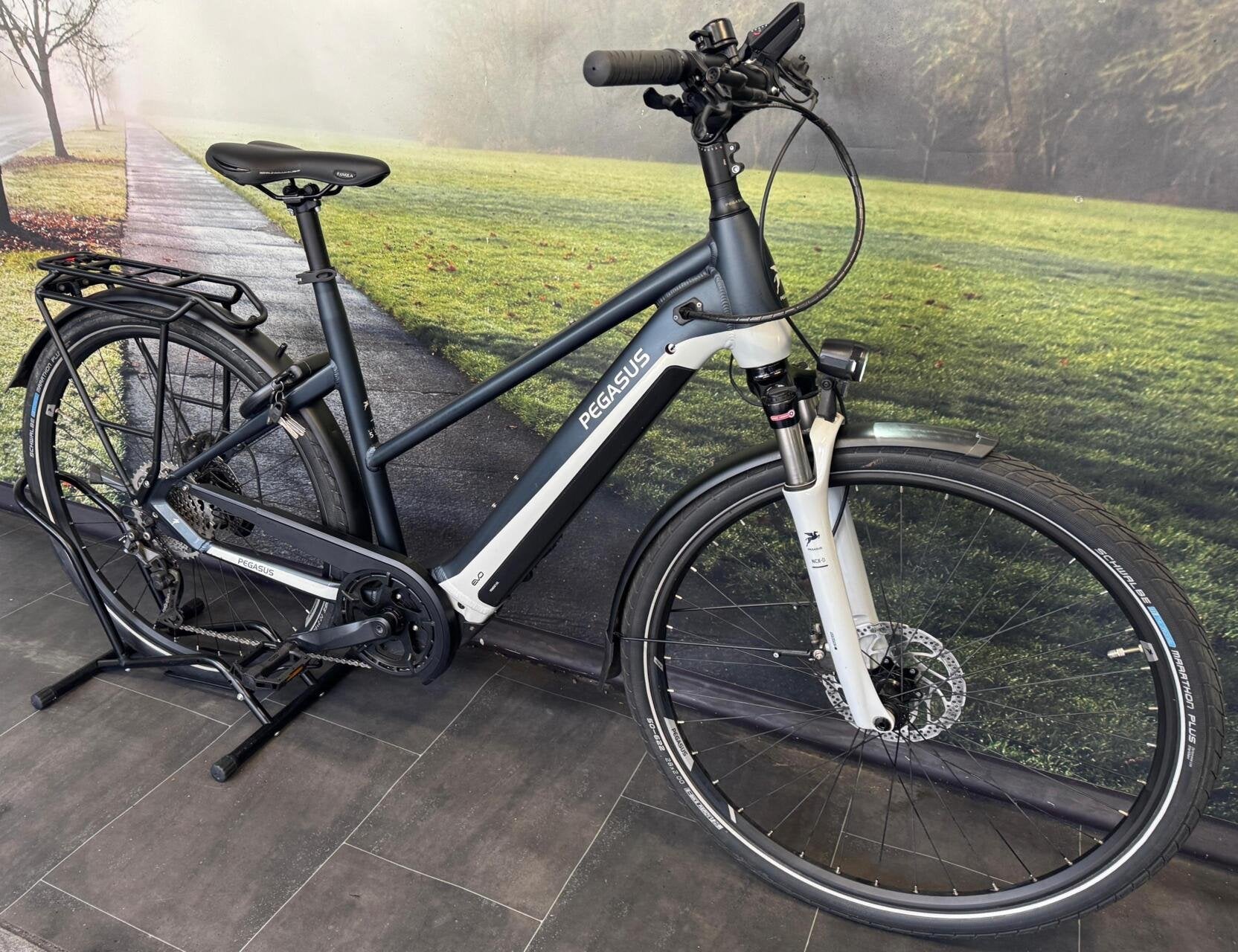Pegasus Premio Evo 10 Lite - Electrische fiets - 750WH Accu, Overige merken, 55 tot 59 cm, Longericher Straße 2, 50739 Keulen, Duitsland