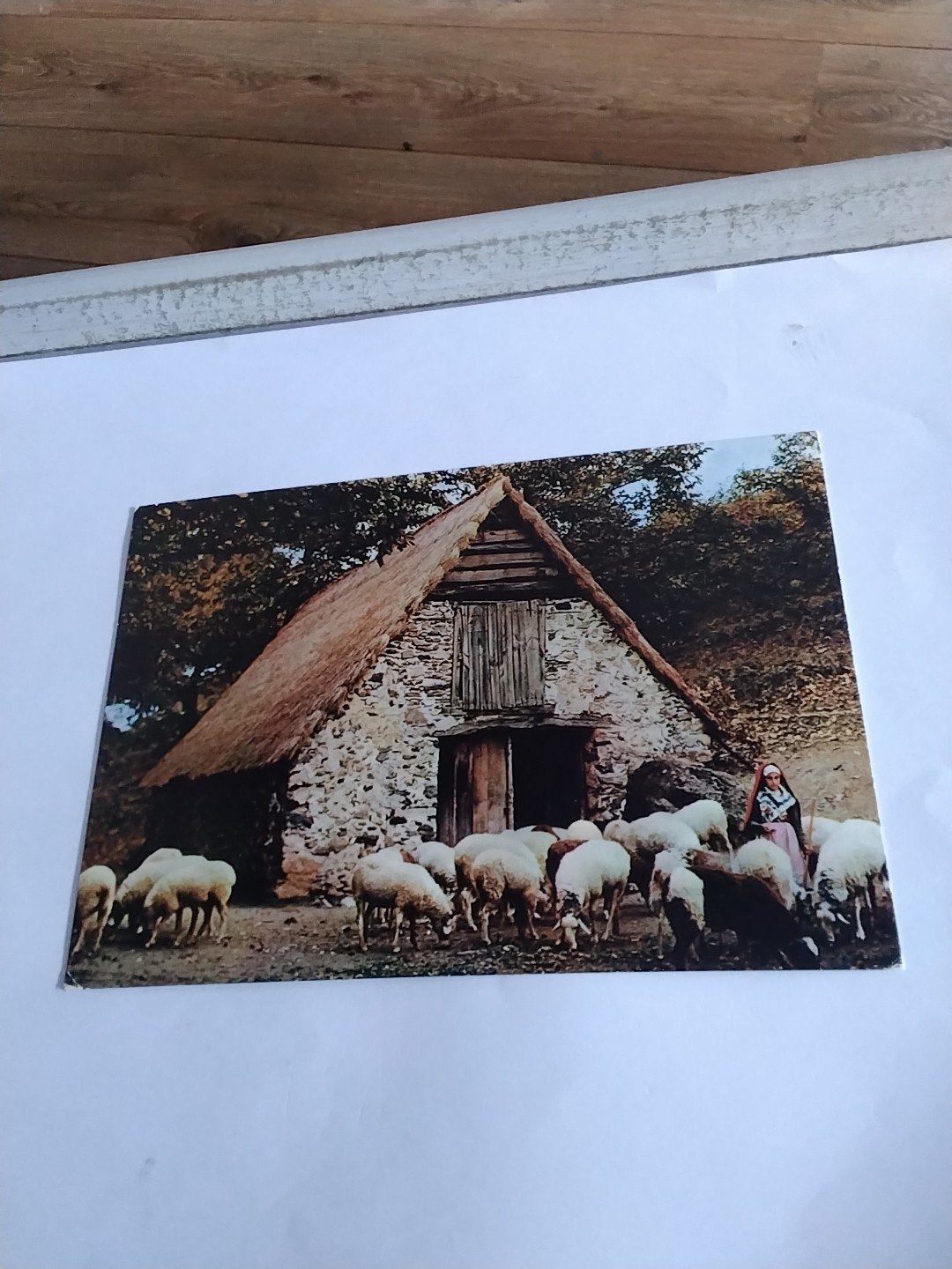 Vintage Ansichtkaart: Herderin met schapen bij stenen hut, Ophalen of Verzenden