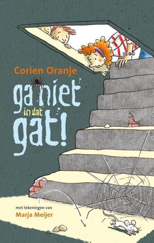 Ga niet in dat gat! Corien Oranje 9789085433026 Bieden, Ophalen of Verzenden, Zo goed als nieuw, Corien Oranje
