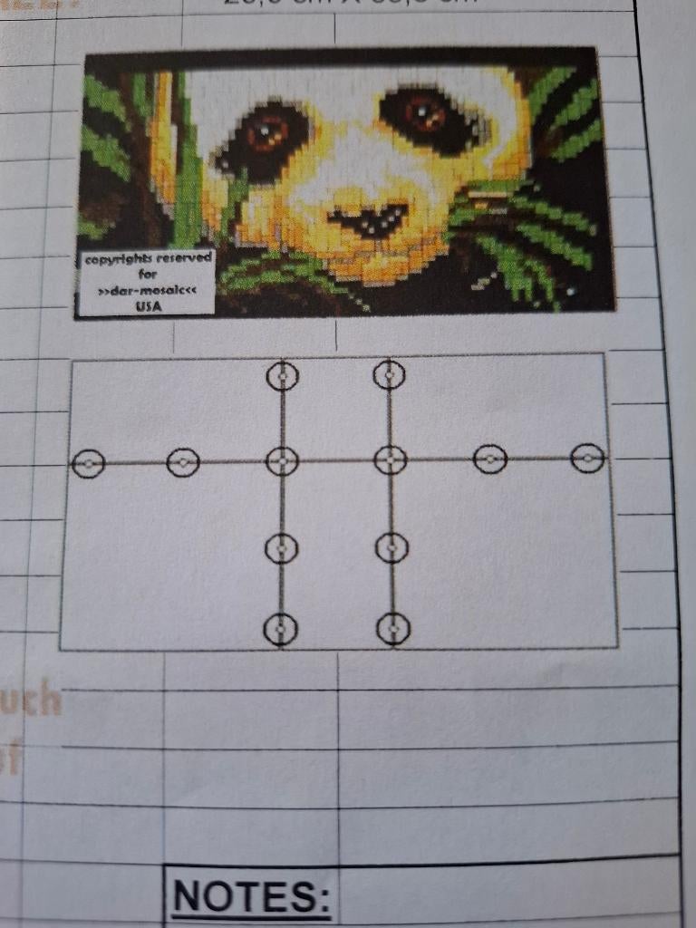 Ministeck voorbeeld  - panda, Ophalen of Verzenden, Nieuw, Voorbeeldboek