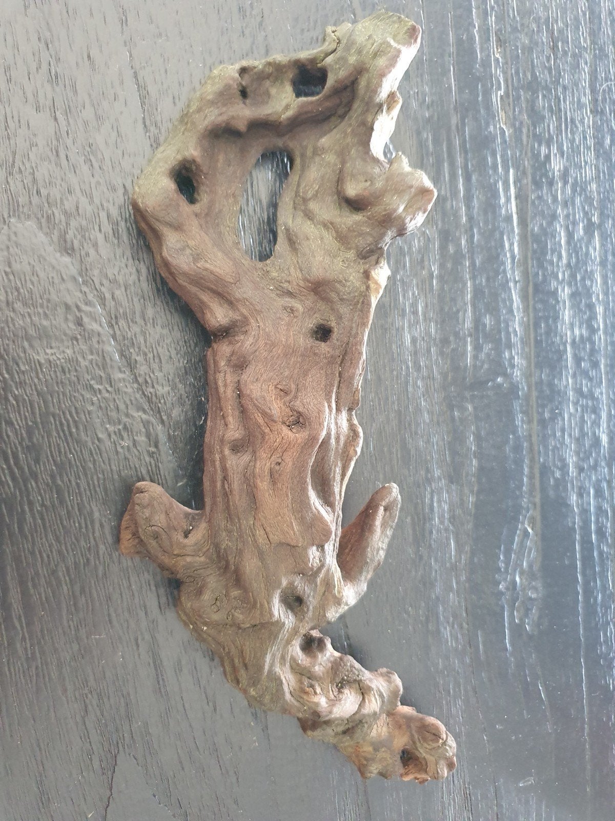 Diverse aquarium spullen, Dieren en Toebehoren, Ophalen, Plant(en), Steen of Hout