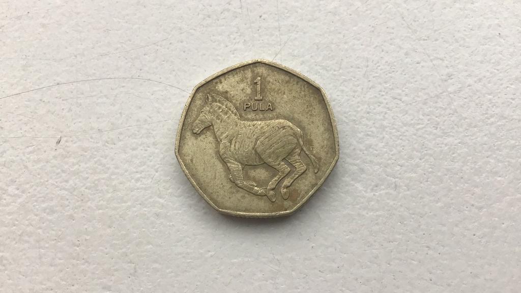 Botswana 1 pula 1991., Ophalen of Verzenden, Overige landen