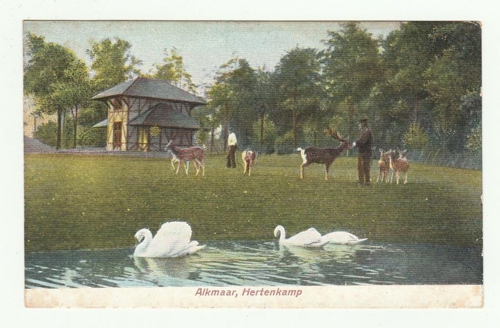 Alkmaar - Hertenkamp (kaart heeft gelopen in 1909), Verzenden, Voor 1920, Gelopen, Noord-Holland