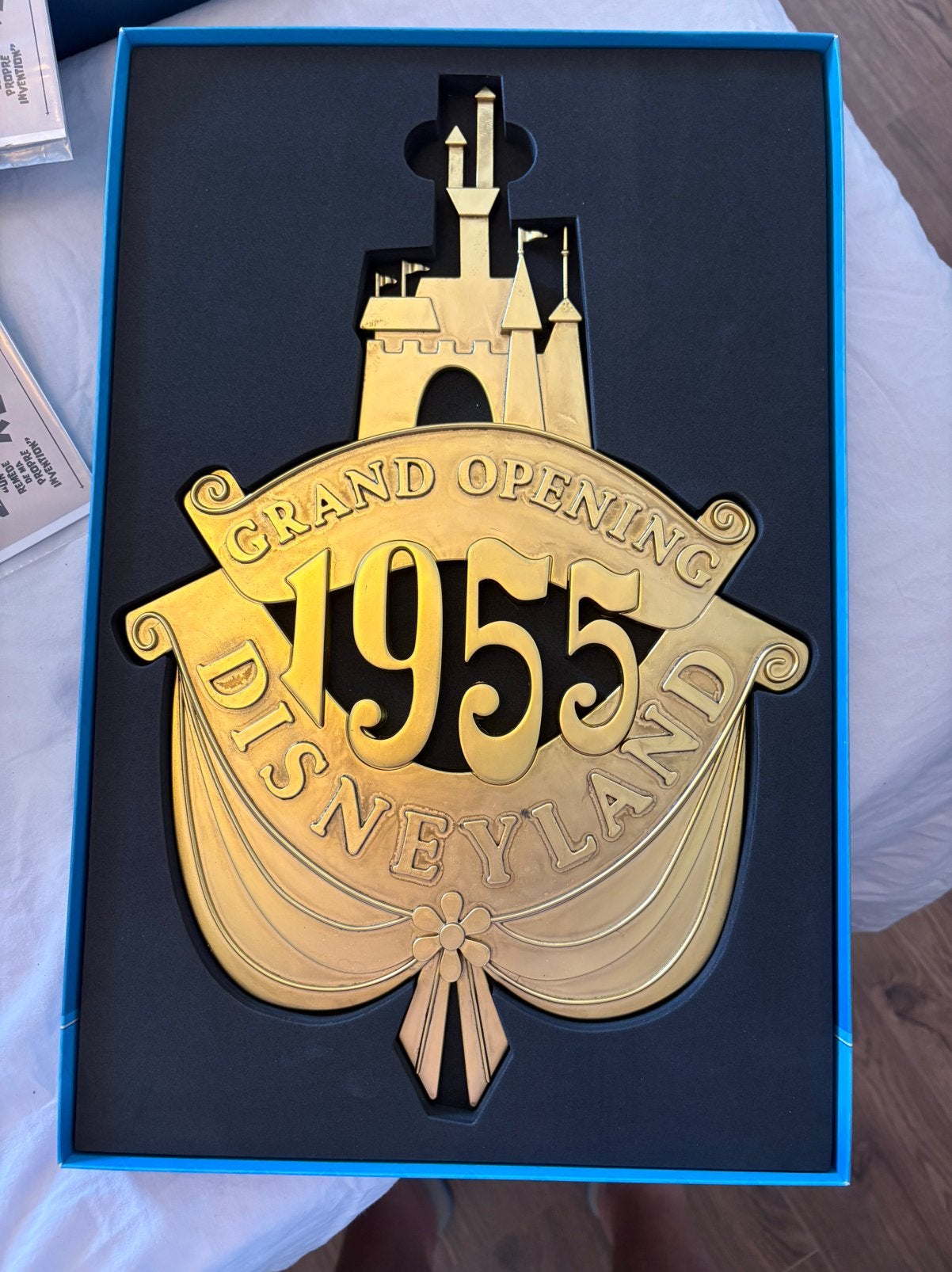 Disney parks 70 jaar anaheim plakaat, Ophalen of Verzenden, Zo goed als nieuw, Zwart