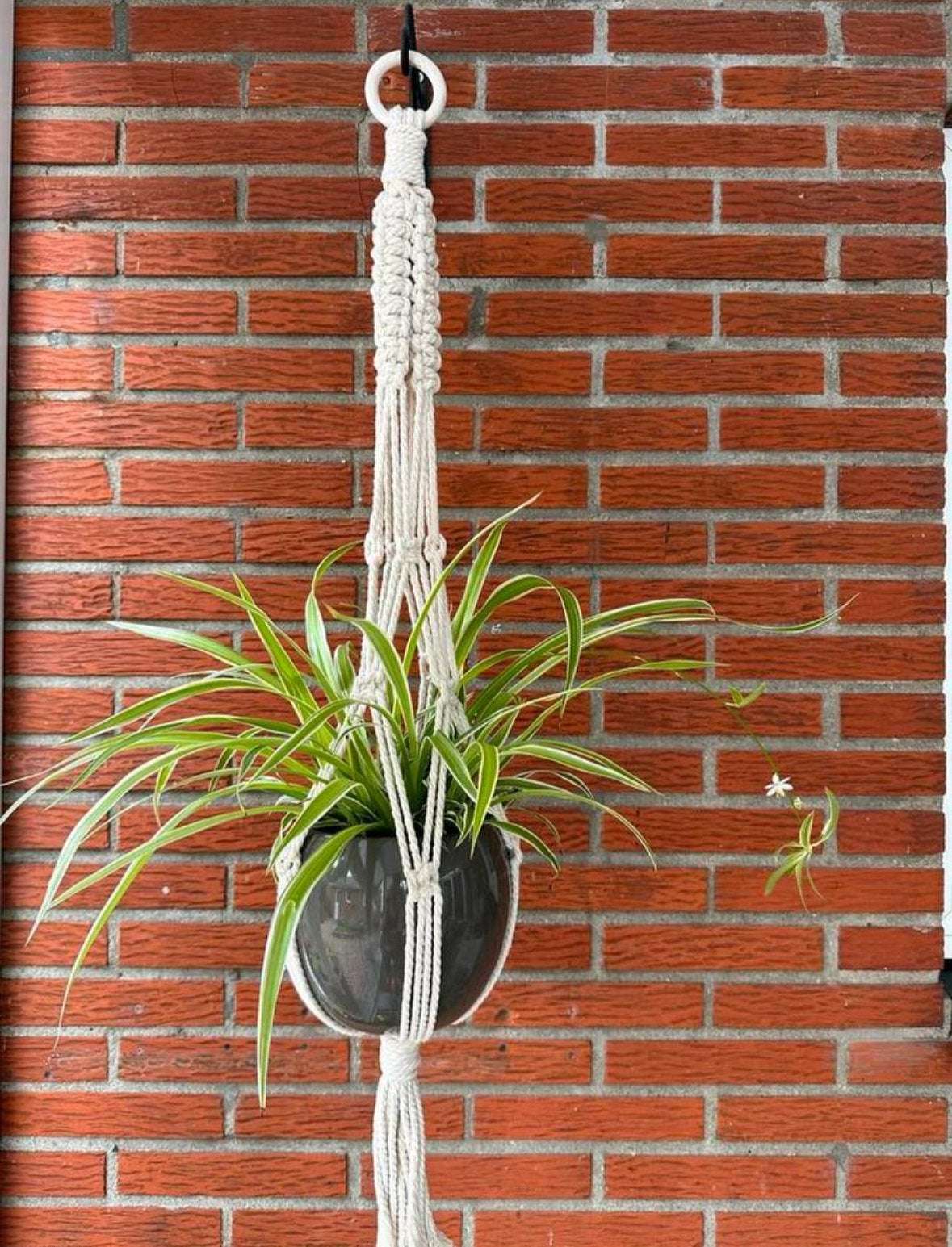 Macramé plantenhanger handgemaakt. NIEUW, Beige, Nieuw, Ophalen of Verzenden, Overige typen
