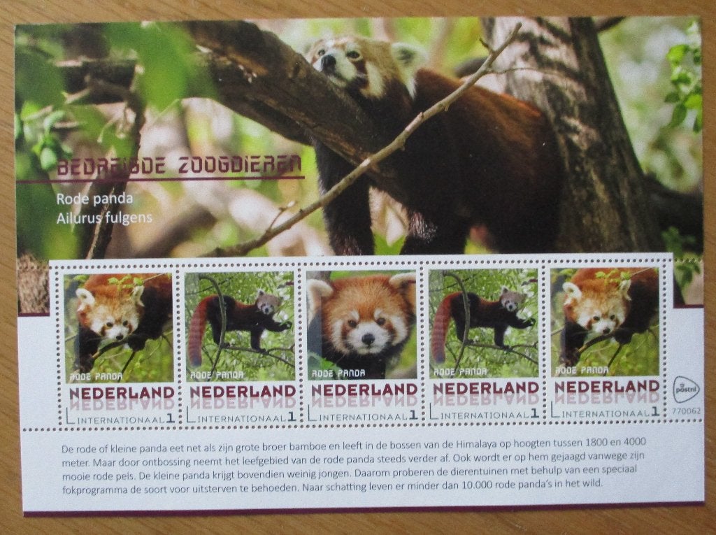 Nederland, velletje Rode panda (internationaal  1 zegels), Verzenden, Postfris, Dier of Natuur