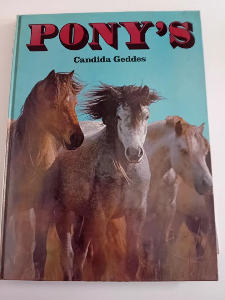 * Pony's  - Candida Geddes, Boeken, Ophalen of Verzenden, Zo goed als nieuw, Paarden of Pony's