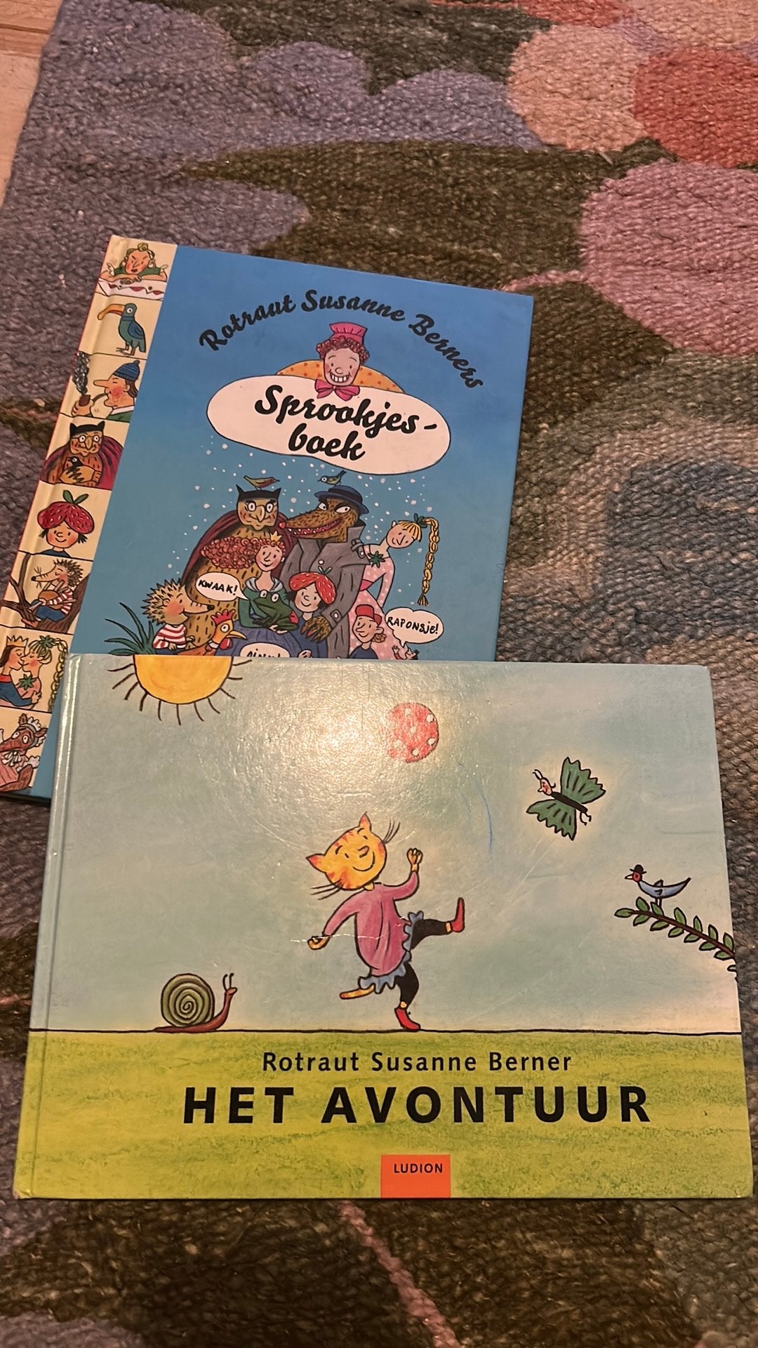 Rotraut Susanne Berner Het avontuur & Sprookjesboek, Ophalen of Verzenden, Gelezen, Prentenboek
