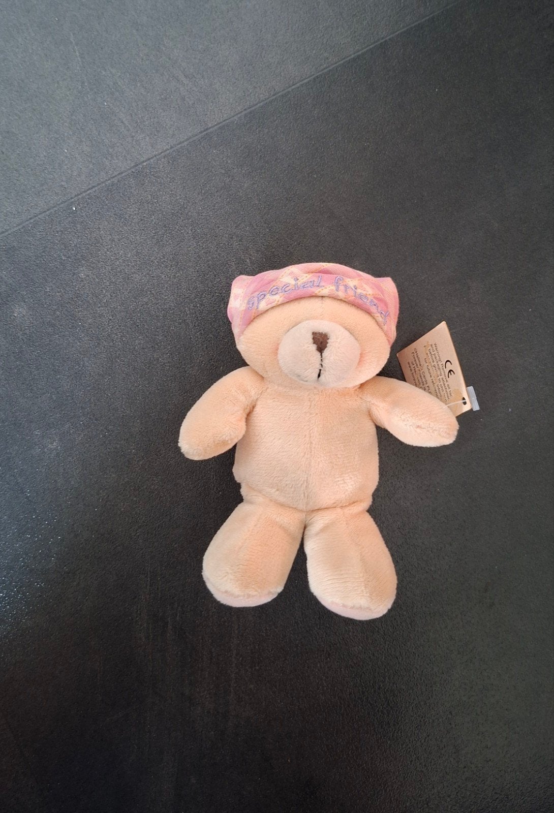 Forever Friends knuffelbeer met slaapmutsje - Nieuw, Kinderen en Baby's, Speelgoed | Knuffels en Pluche, Nieuw, Beer, Overige merken