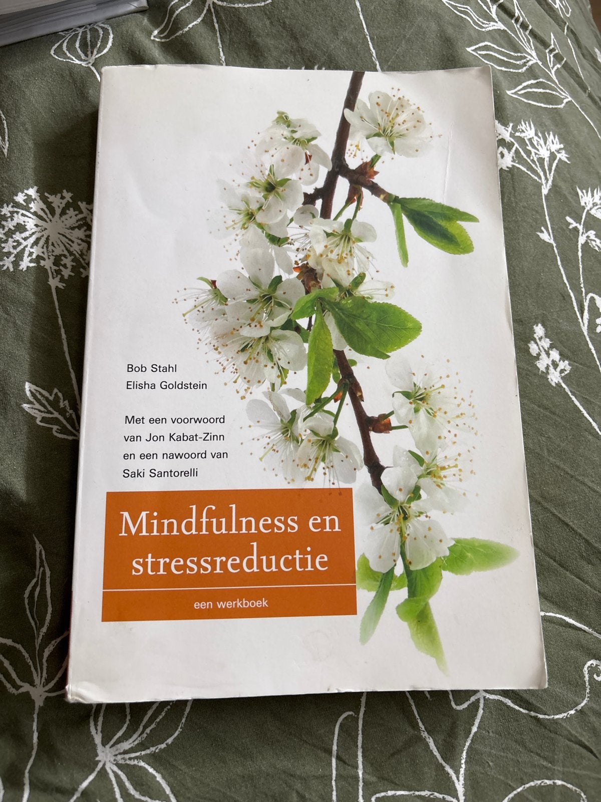 Mindfulness en stressreductie - een werkboek, Ophalen of Verzenden, Zo goed als nieuw, Overige onderwerpen