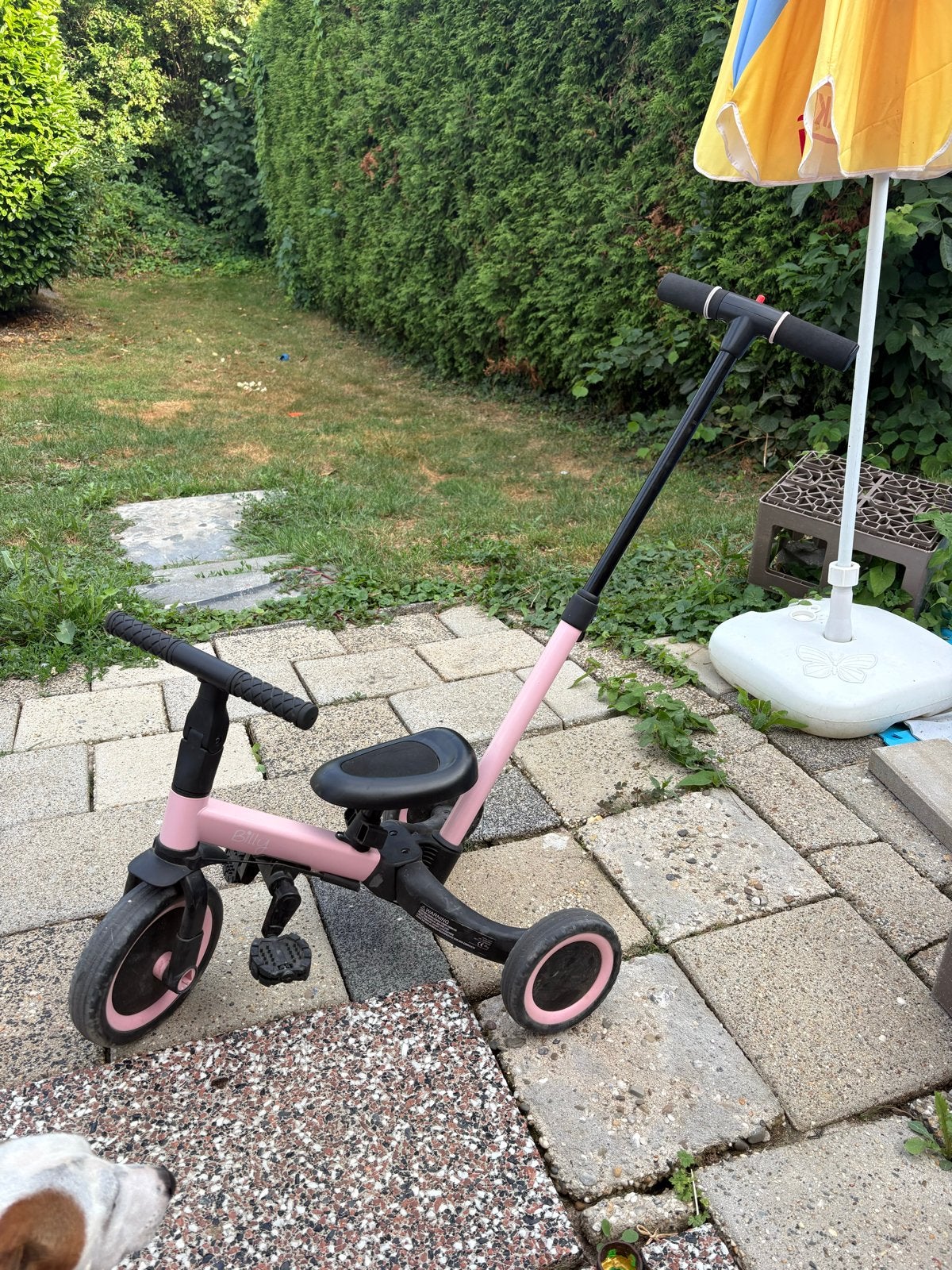 Roze 3-in-1 Loopfiets/Driewieler voor Kinderen, Kinderen en Baby's, Speelgoed | Buiten | Voertuigen en Loopfietsen, Ophalen, Gebruikt