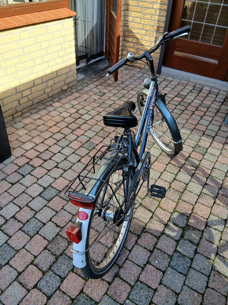Gazelle  Street Cruiser, Fietsen en Brommers, Ophalen, Terugtraprem, Versnellingen, Gazelle fiets