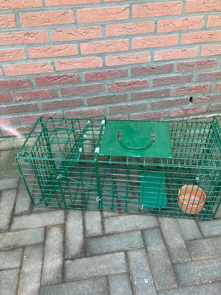Vangkooi, Dieren en Toebehoren, Kooi, Minder dan 75 cm, Zo goed als nieuw, Ophalen